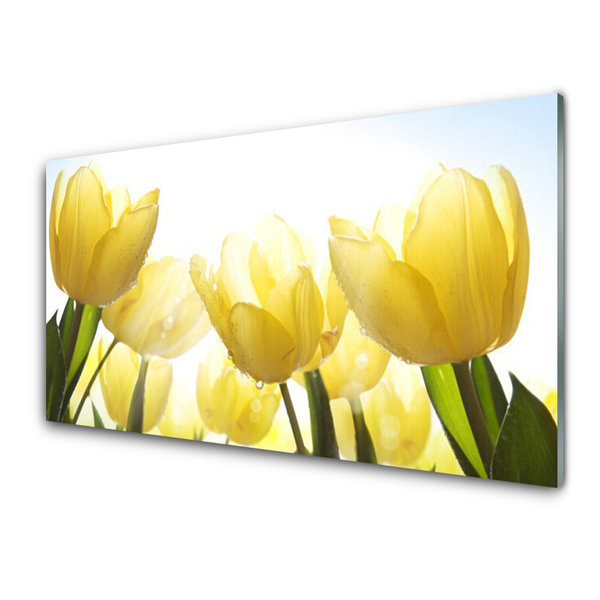 Billede glas Tulipaner Blomster Stråler