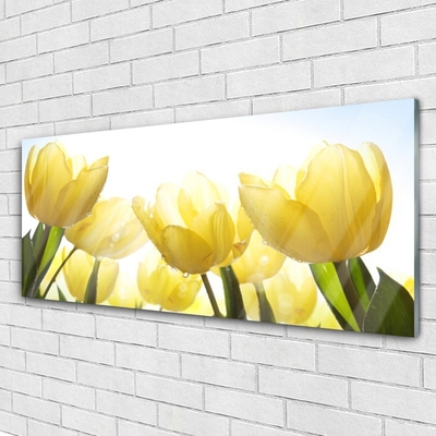 Billede glas Tulipaner Blomster Stråler