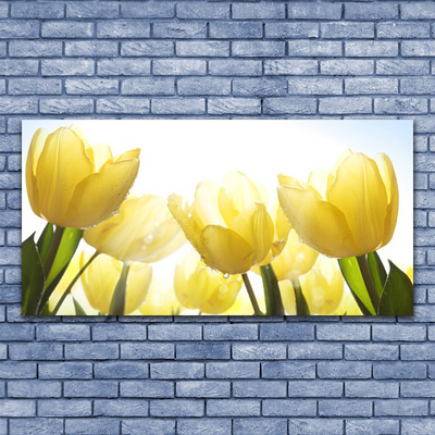 Billede glas Tulipaner Blomster Stråler