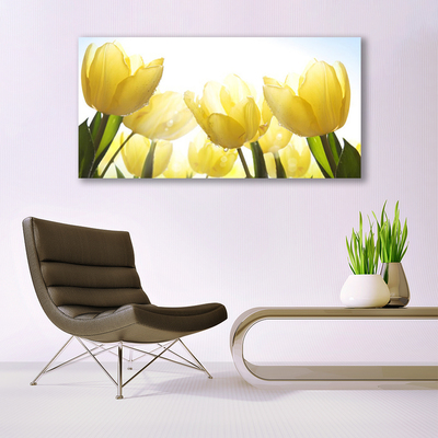 Billede glas Tulipaner Blomster Stråler