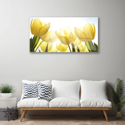 Billede glas Tulipaner Blomster Stråler