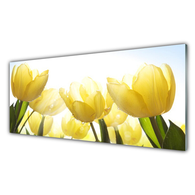 Billede glas Tulipaner Blomster Stråler