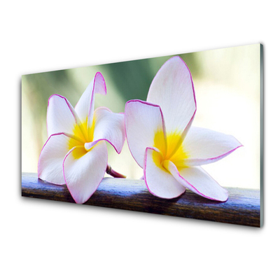 Glas billede Blomster Kronblade Plumeria