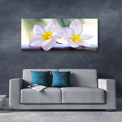 Glas billede Blomster Kronblade Plumeria