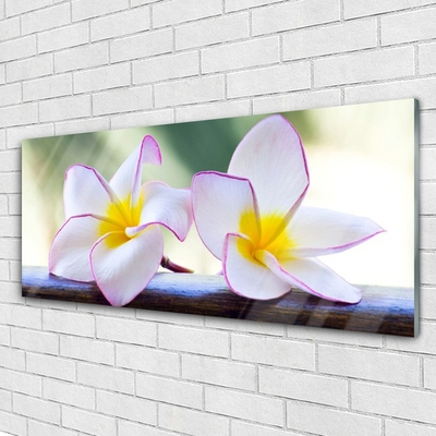 Glas billede Blomster Kronblade Plumeria