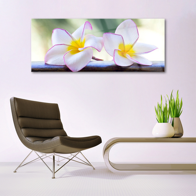 Glas billede Blomster Kronblade Plumeria