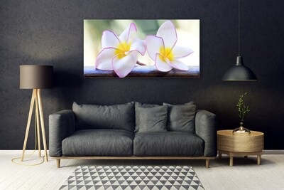 Glas billede Blomster Kronblade Plumeria