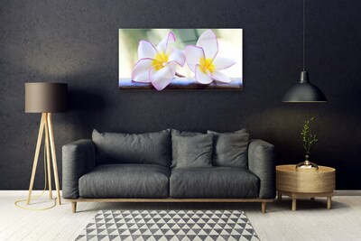 Glas billede Blomster Kronblade Plumeria