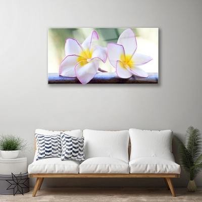 Glas billede Blomster Kronblade Plumeria