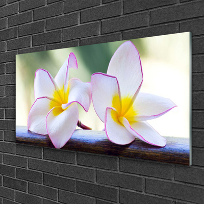 Glas billede Blomster Kronblade Plumeria