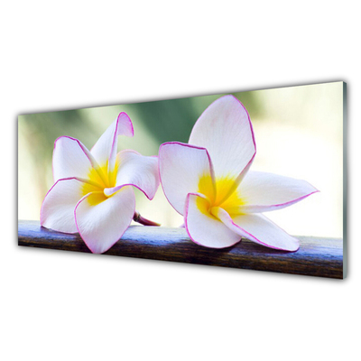 Glas billede Blomster Kronblade Plumeria