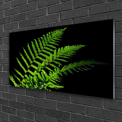 Print på glas Fern Fern Leaves