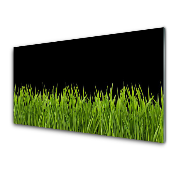 Billede glas Green Grass Nature