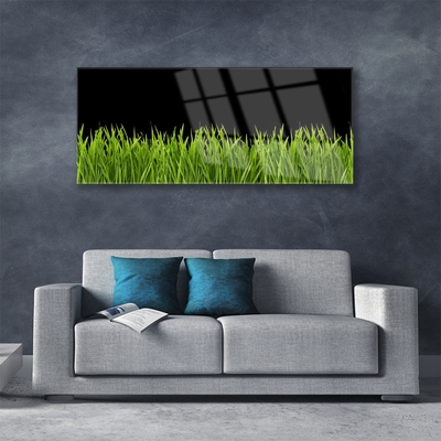 Billede glas Green Grass Nature