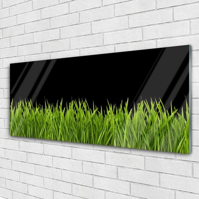 Billede glas Green Grass Nature