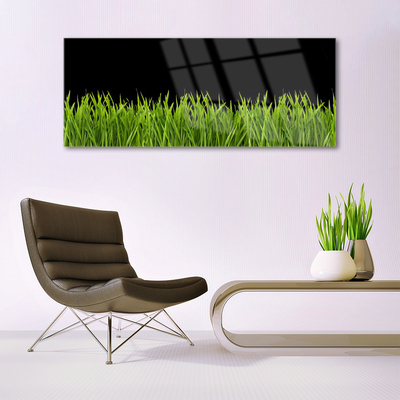 Billede glas Green Grass Nature