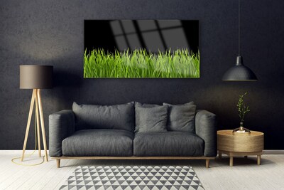 Billede glas Green Grass Nature