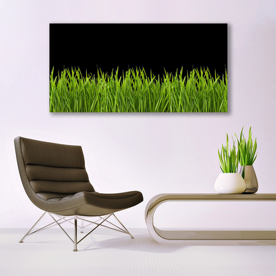 Billede glas Green Grass Nature