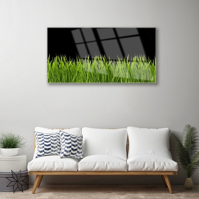 Billede glas Green Grass Nature