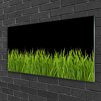 Billede glas Green Grass Nature