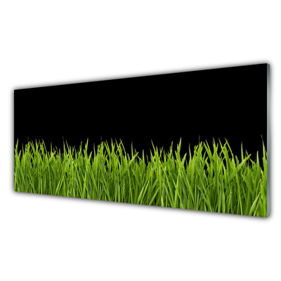 Billede glas Green Grass Nature