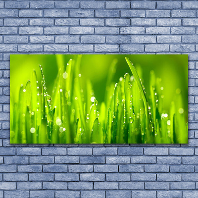 Glasbillede Green Grass Dewdrops