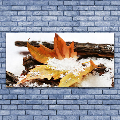 Glasbillede Leaf Forest Autumn Nature