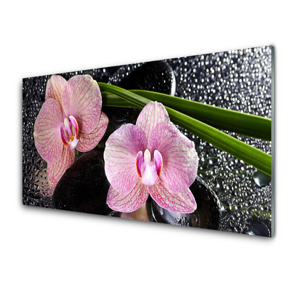 Glas billede Flower Orchid Zen Orchid