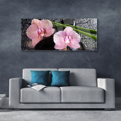 Glas billede Flower Orchid Zen Orchid