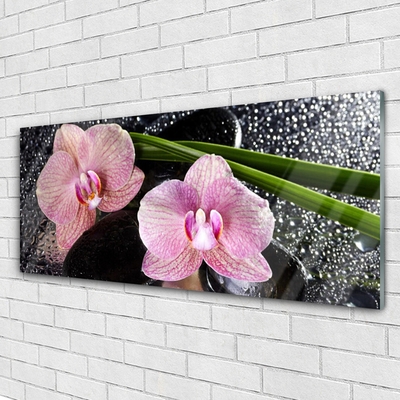 Glas billede Flower Orchid Zen Orchid