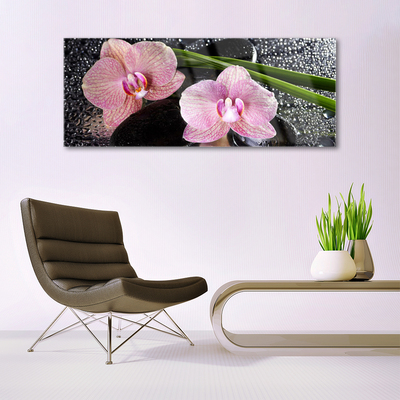 Glas billede Flower Orchid Zen Orchid