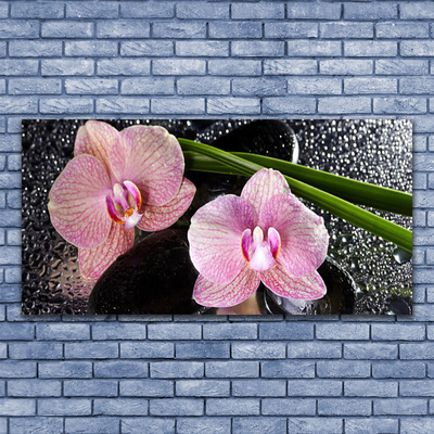 Glas billede Flower Orchid Zen Orchid