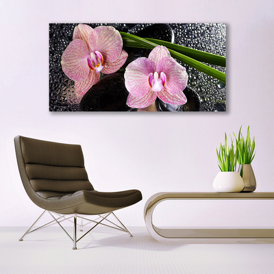 Glas billede Flower Orchid Zen Orchid