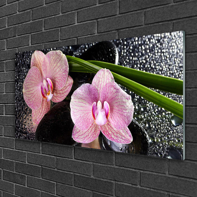 Glas billede Flower Orchid Zen Orchid