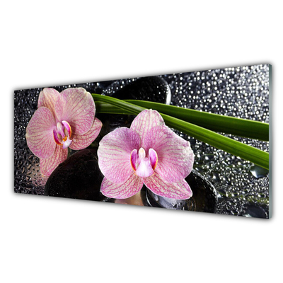 Glas billede Flower Orchid Zen Orchid