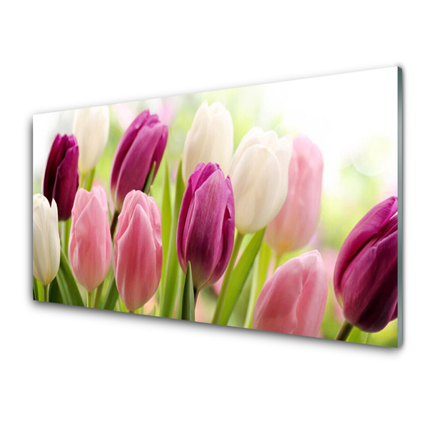 Glasfoto Tulipaner Blomster Natur Eng