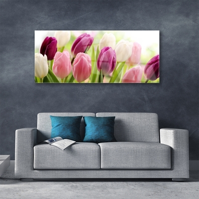 Glasfoto Tulipaner Blomster Natur Eng