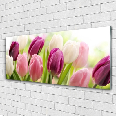 Glasfoto Tulipaner Blomster Natur Eng