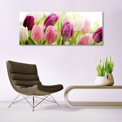 Glasfoto Tulipaner Blomster Natur Eng