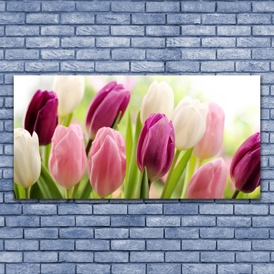 Glasfoto Tulipaner Blomster Natur Eng