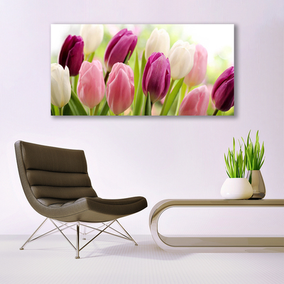 Glasfoto Tulipaner Blomster Natur Eng