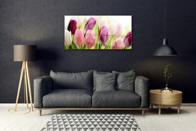 Glasfoto Tulipaner Blomster Natur Eng