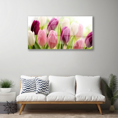 Glasfoto Tulipaner Blomster Natur Eng