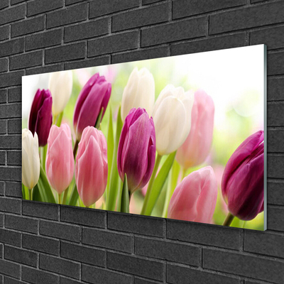 Glasfoto Tulipaner Blomster Natur Eng