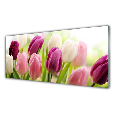 Glasfoto Tulipaner Blomster Natur Eng