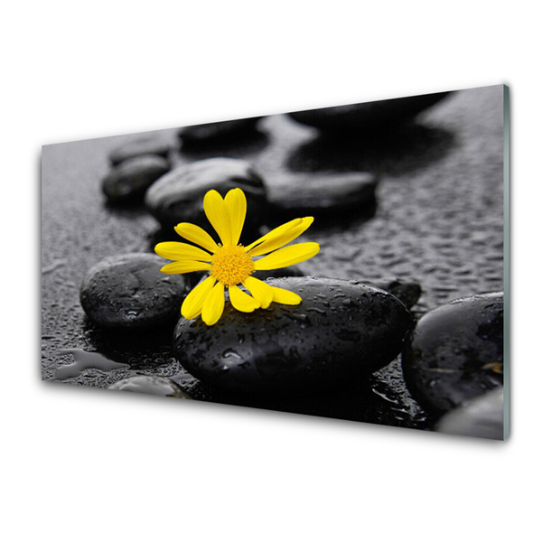 Glas billede Gul blomst Spa Natur