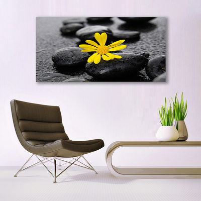 Glas billede Gul blomst Spa Natur