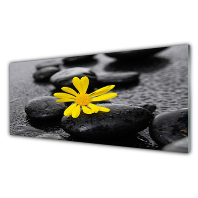 Glas billede Gul blomst Spa Natur