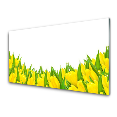 Billede i glas Blomster Natur Tulipaner