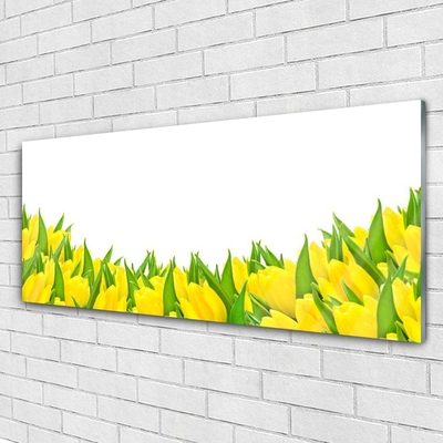 Billede i glas Blomster Natur Tulipaner